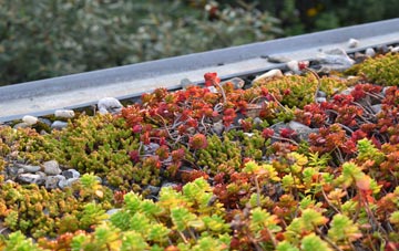 the cost of Benhall Green green roof installation