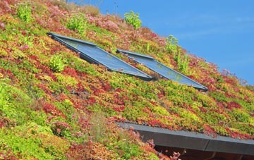 Benhall Green living roof systems